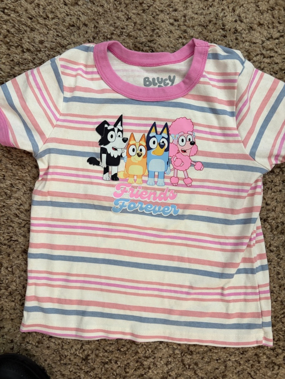 Bluey 'Friends Forever' Pink Striped Kids Tee